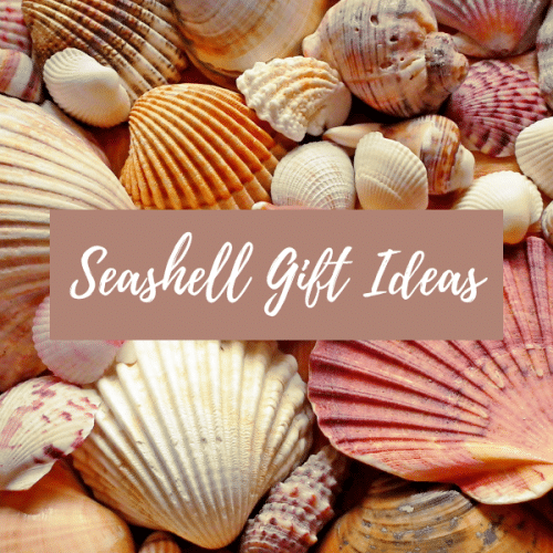 seashell gift ideas