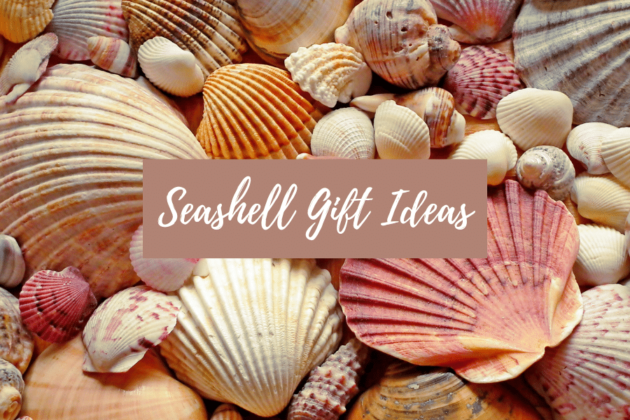 seashell gift ideas