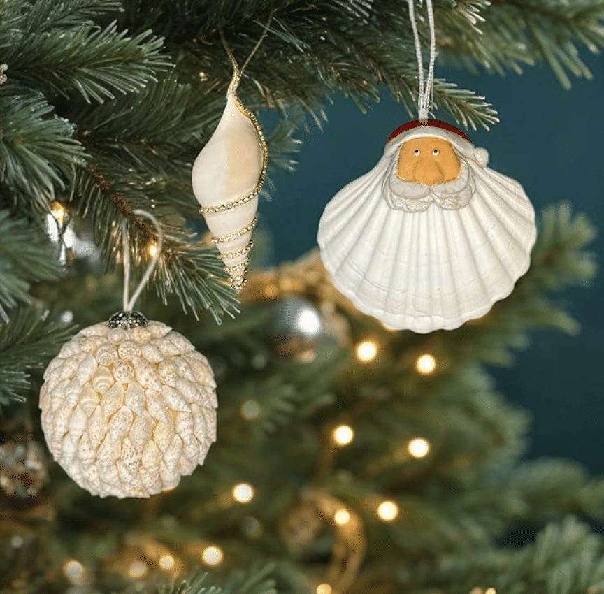 seashell ornaments